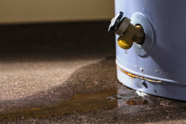 Best Water damage restoration insurance claims  in Shelton, CT