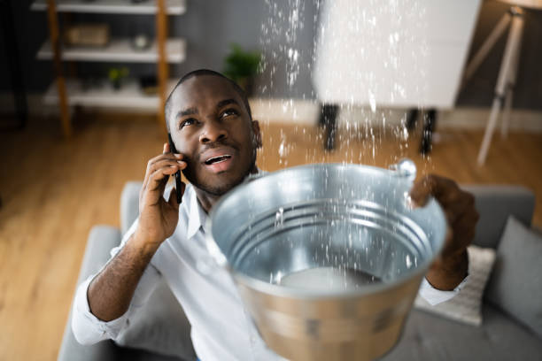 Best Professional water damage repair  in Shelton, CT