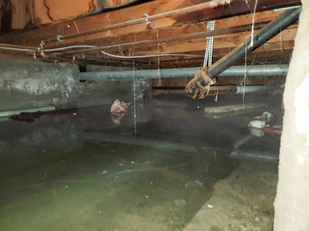 Best Ceiling water damage repair  in Shelton, CT