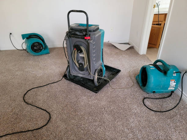 Best Water damage restoration near me  in Shelton, CT