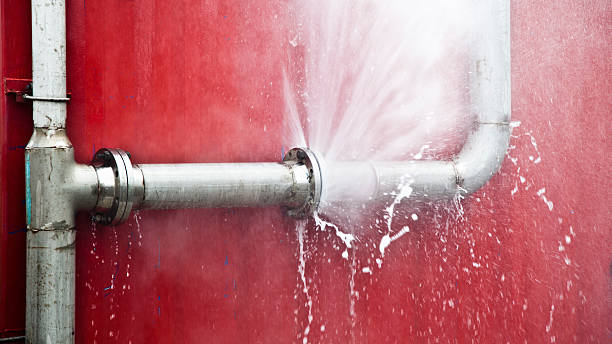 Best Water damage mitigation services  in Shelton, CT