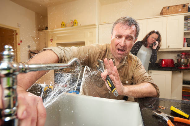 Best Water damage cleanup near me  in Shelton, CT